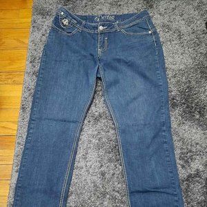 Beyonce's Dereon Designer Jeans (Sz 13/14) Blue Jeans With Silver Embellishments